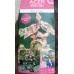 Японски клен ( Acer red flamingo )